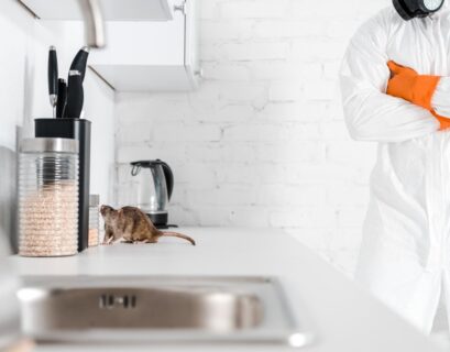 Why is pest control important to a food business