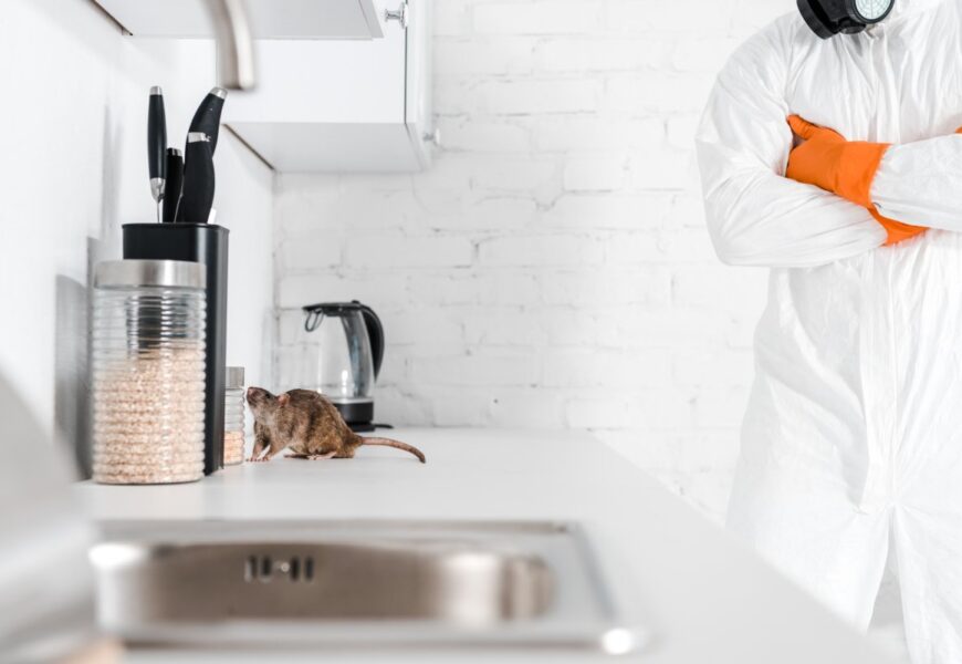 Why is pest control important to a food business