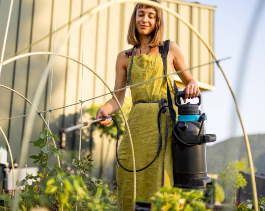 Organic Gardening in Raised Beds