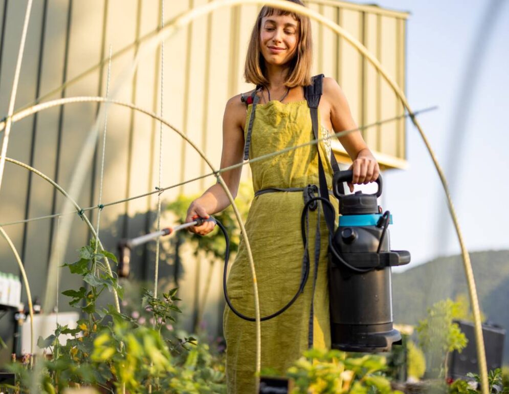 Organic Gardening in Raised Beds